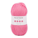 Fil Paintbox Yarns Simply DK