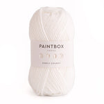 Fil Paintbox Yarns Simply Chunky